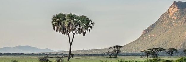 Lakicha banner
