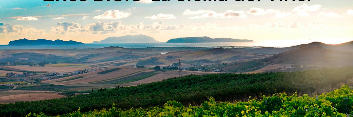 FazioWines's profile banner image