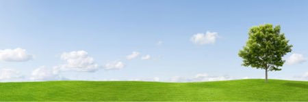 Patrick Wolfe banner