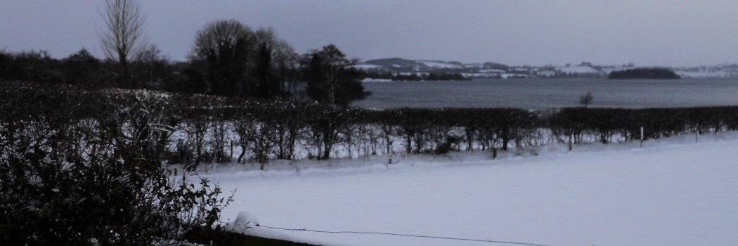 mick_fagan's profile banner image