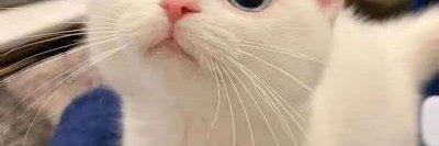 cslee7961's profile banner image