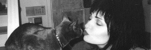 v banner
