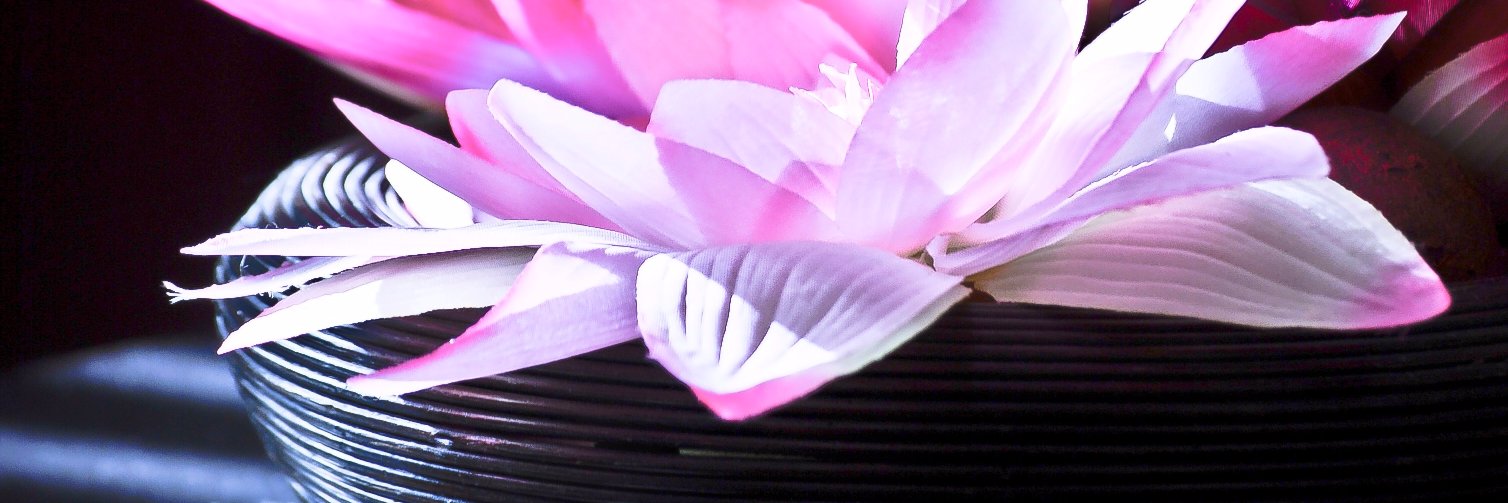 sarahrowley82's profile banner image