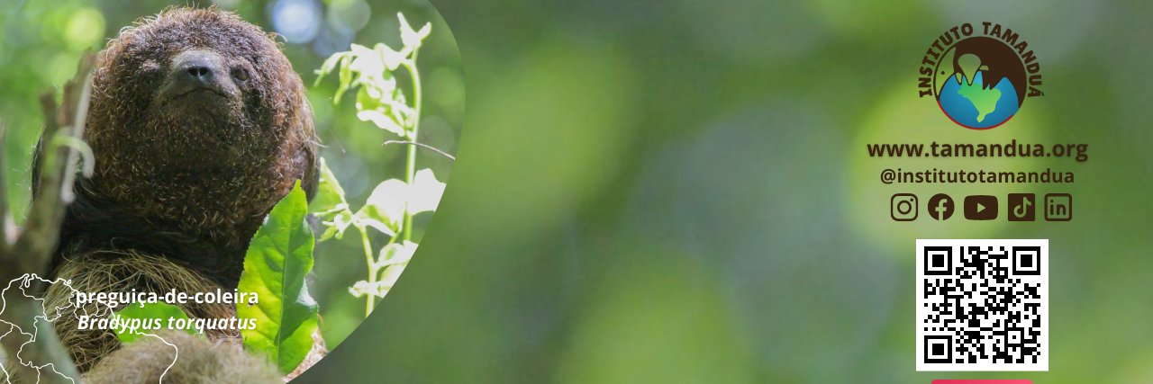 palomasantosmar's profile banner image