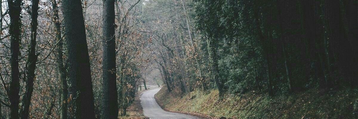 SilkLips26's profile banner image