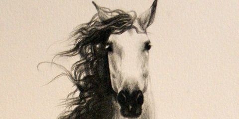 Mlakkhalid's profile banner image