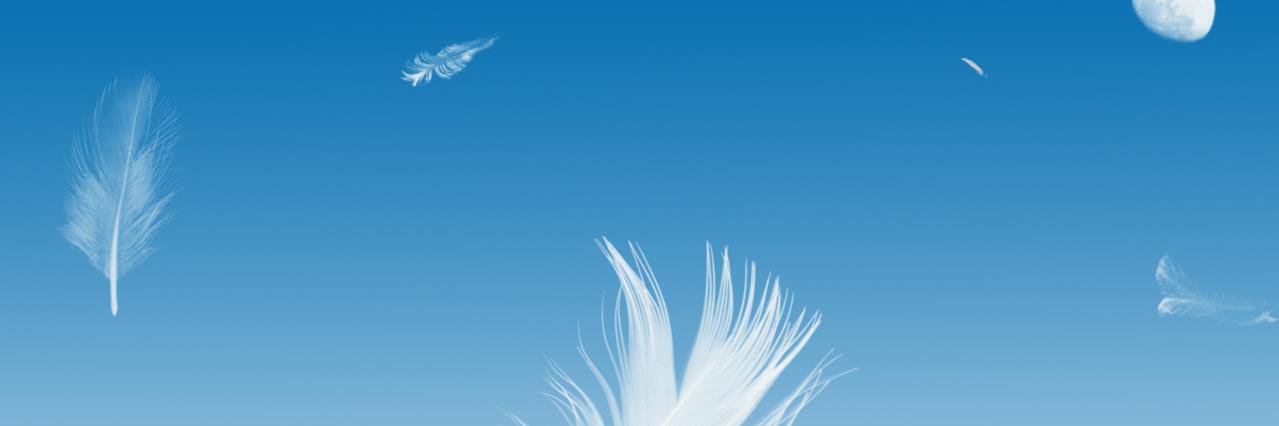 Sandra Bossard banner