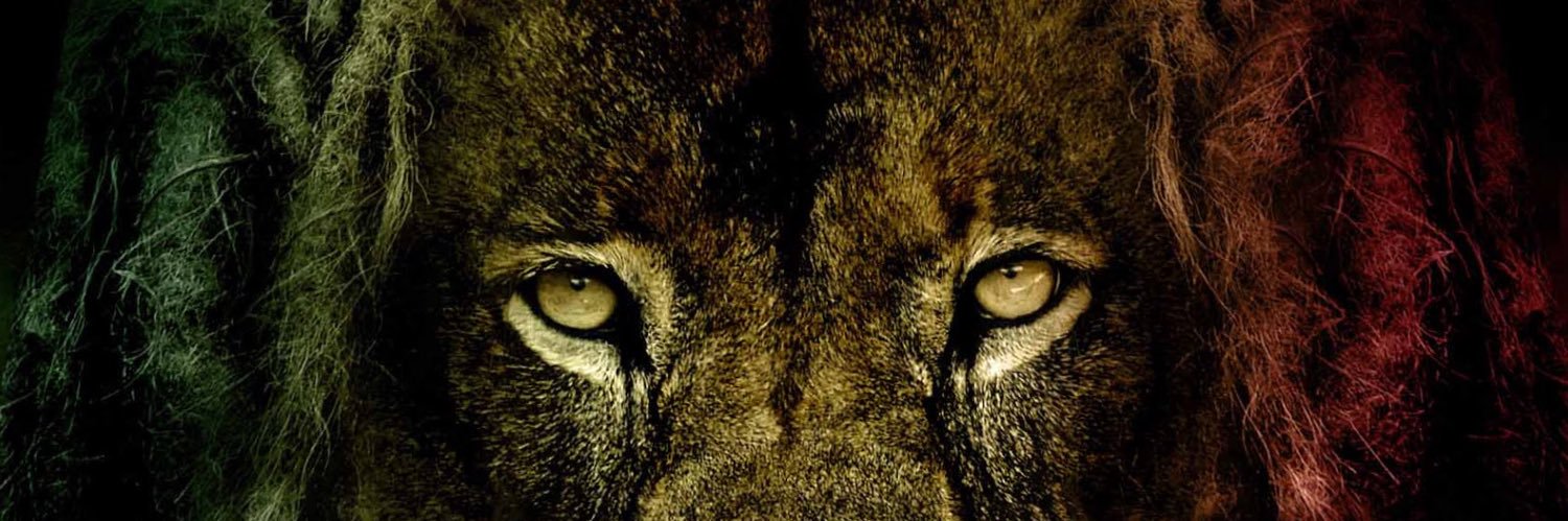 1Maverixk3's profile banner image