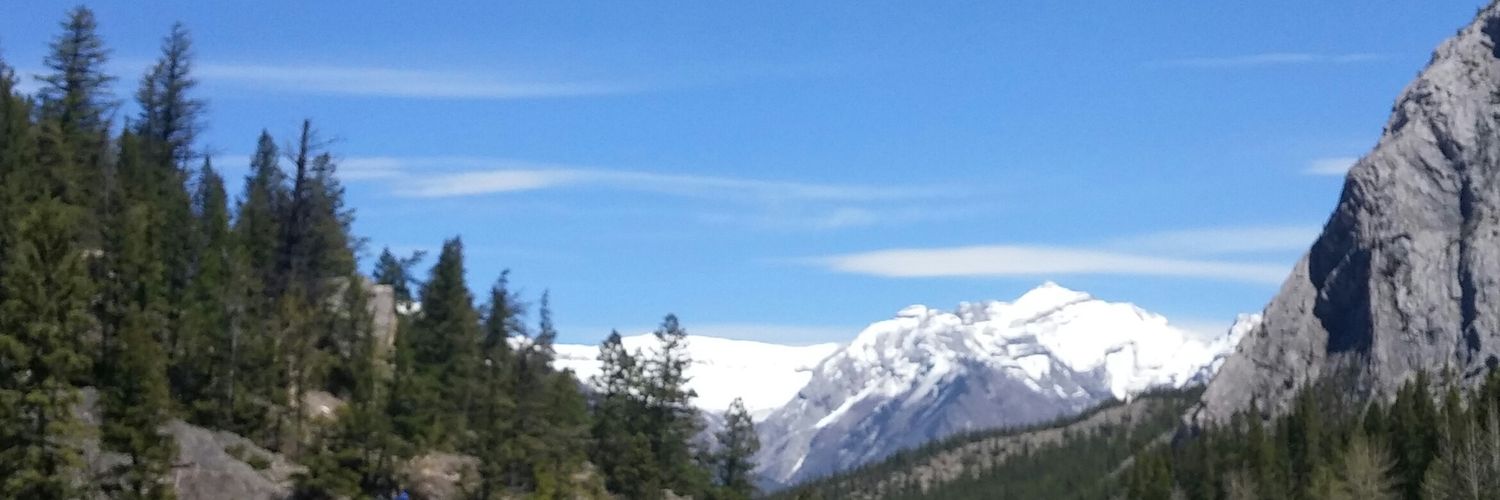 ummmjill's profile banner image