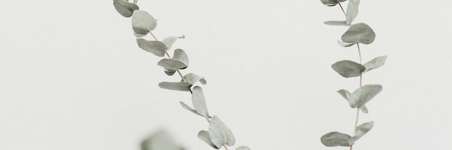 k_sso0's profile banner image