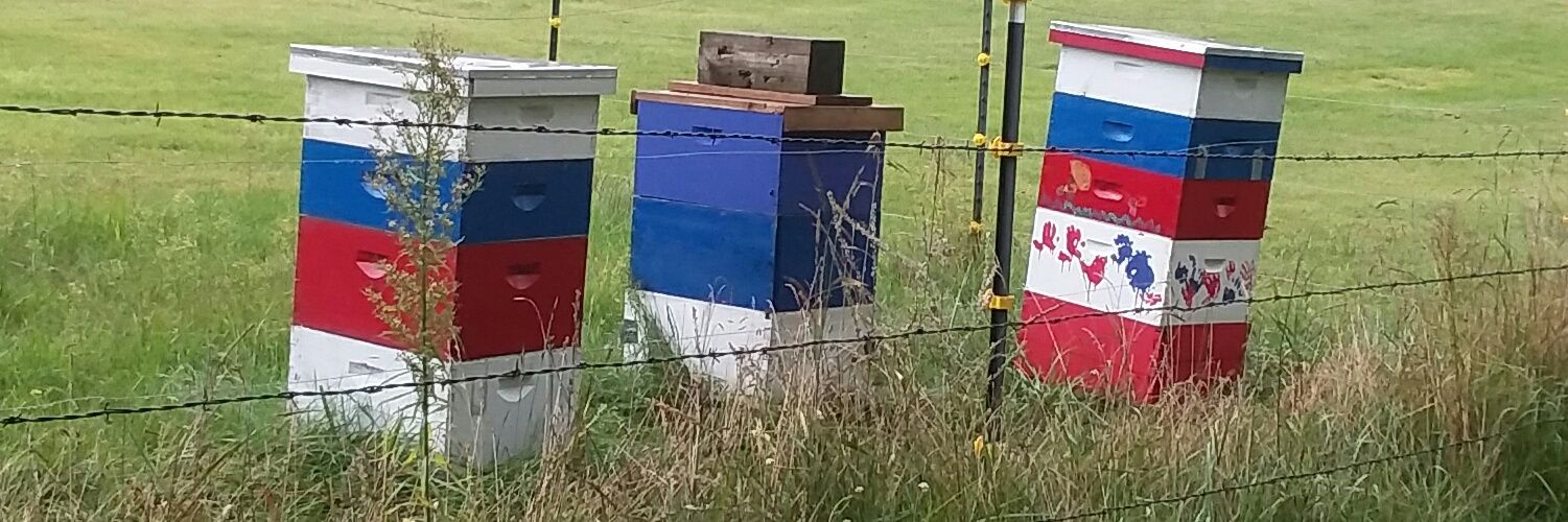 dannyprovo's profile banner image
