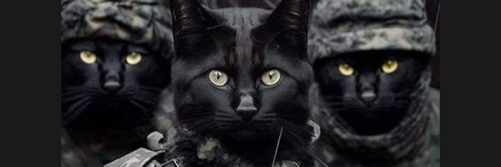 mylai2's profile banner image