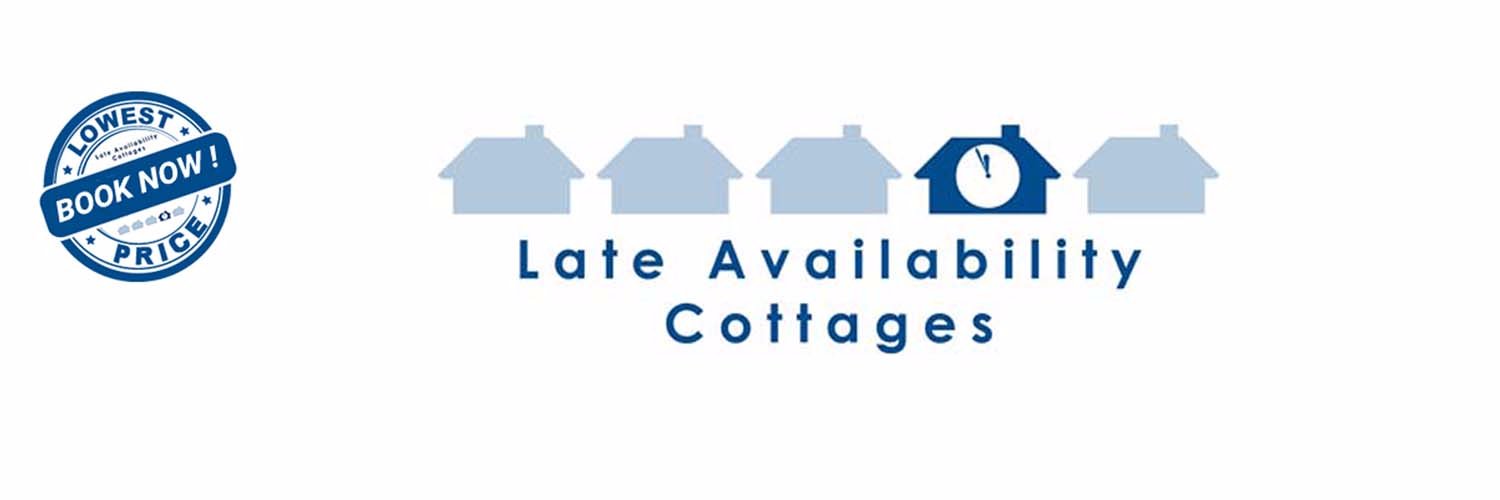 Late Availability banner