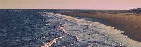 Michelle - We’re Not Going Back 🪷 banner