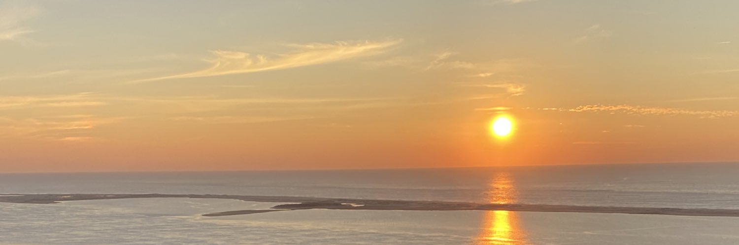 bertagv14's profile banner image