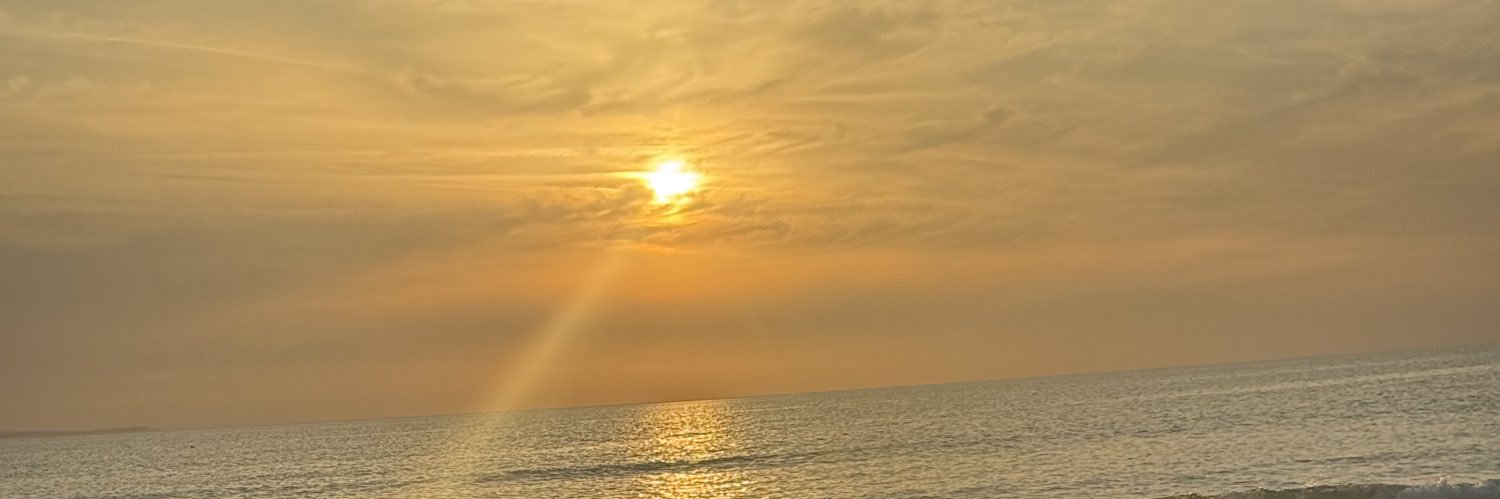 EsteePurnell's profile banner image