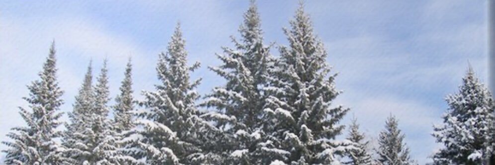 Dominique LUNEL banner