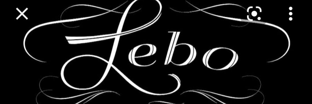 elleblyi's profile banner image