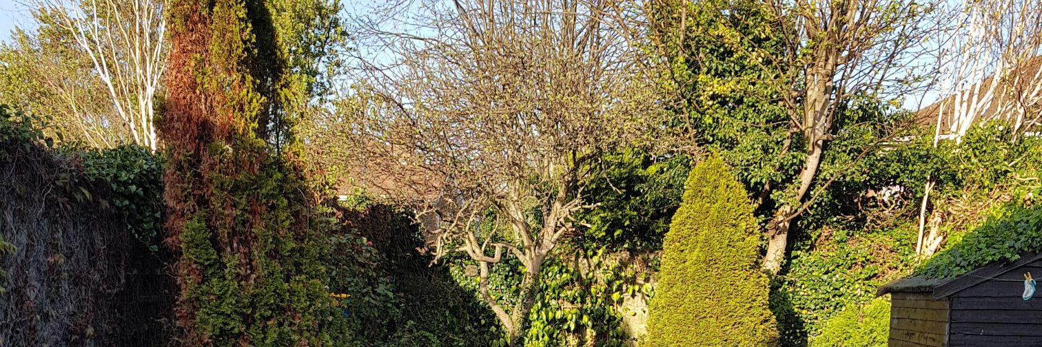 Derek Finnegan banner