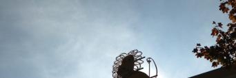 ねこ banner