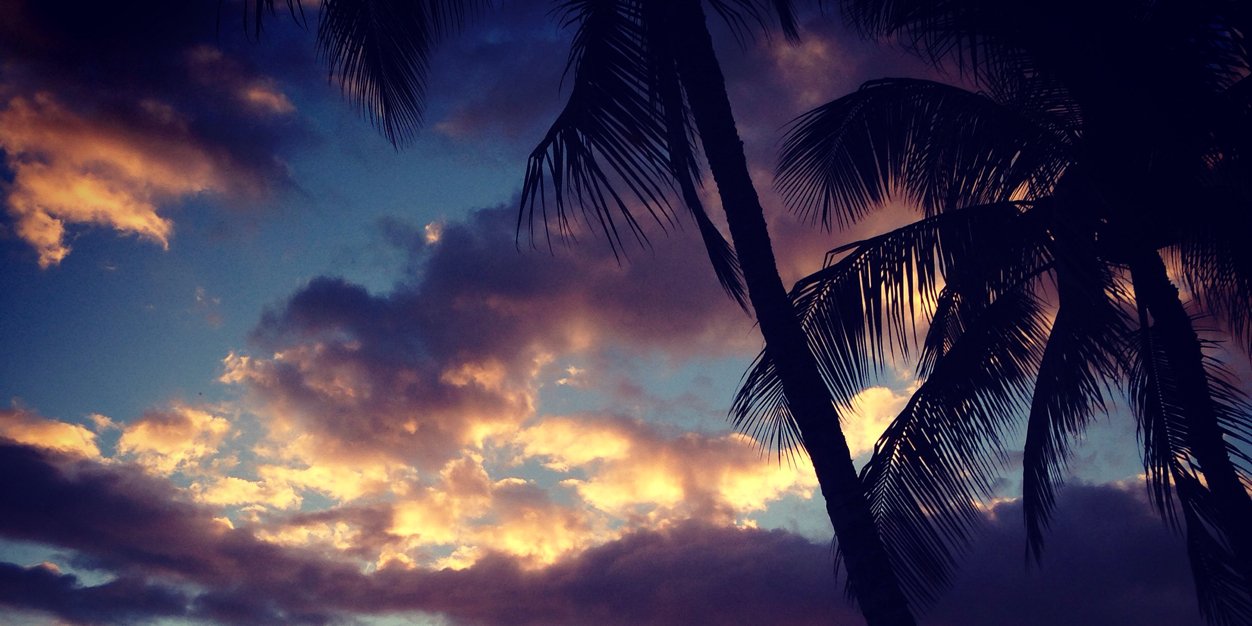 ashleysilva's profile banner image