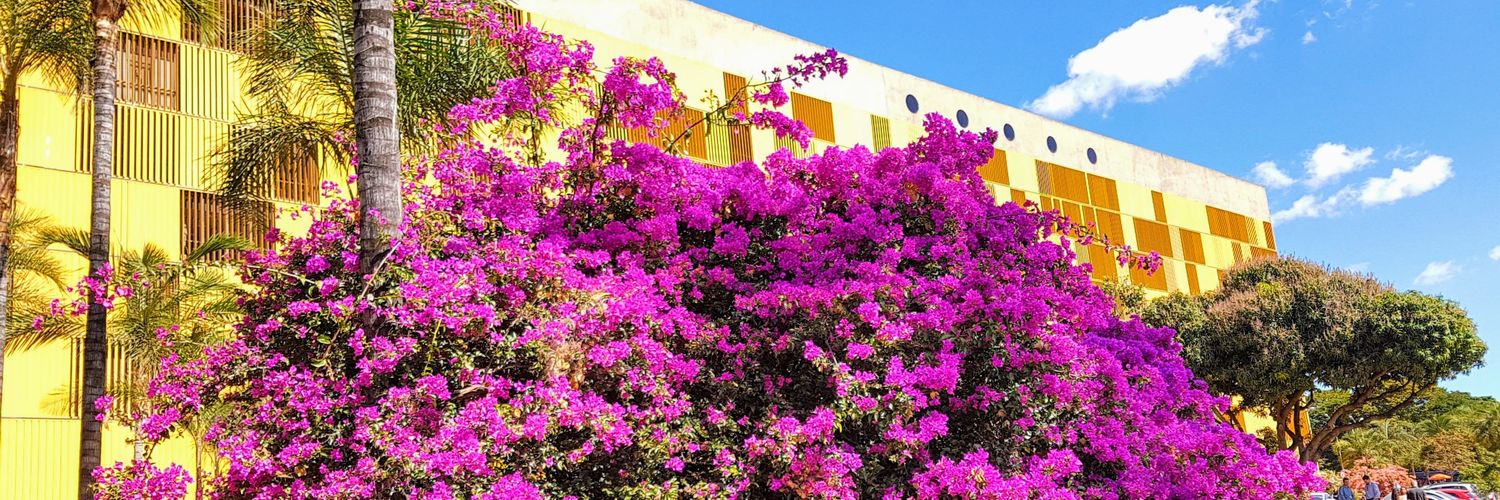 douglasamarques's profile banner image
