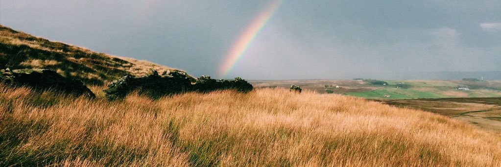 mellysat's profile banner image