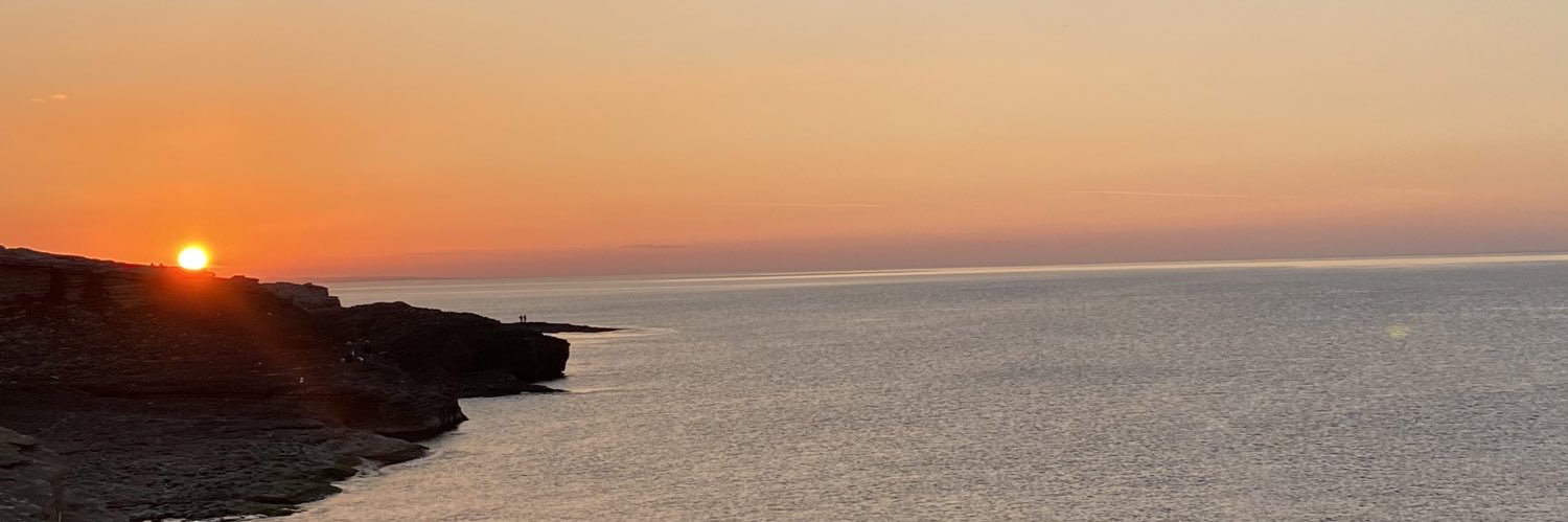 hayranur_'s profile banner image