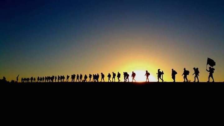 Anteneh Tesfaye banner