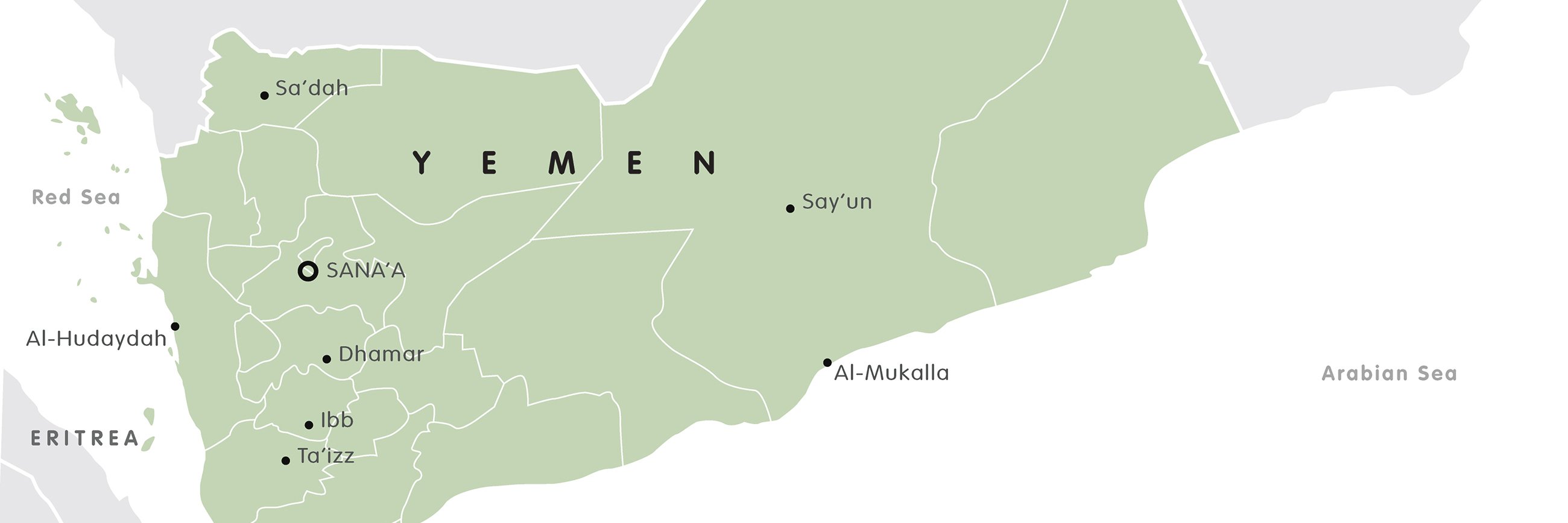 Stephen Snyder banner