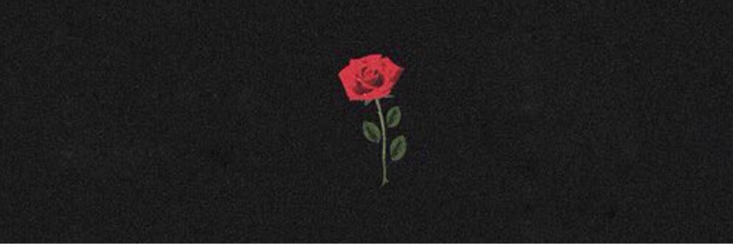 julakamerling's profile banner image