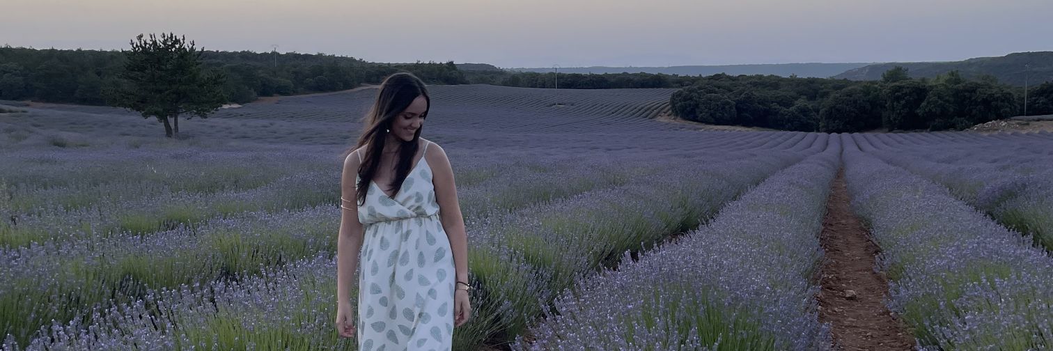 Anaausinm's profile banner image
