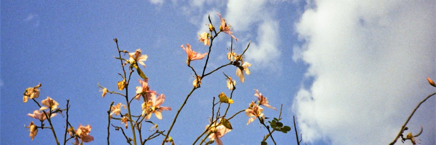 SmritiShukla's profile banner image