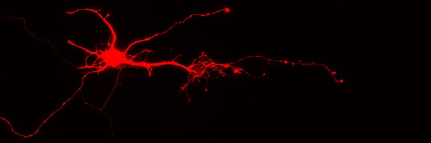 yunus emre demiray banner