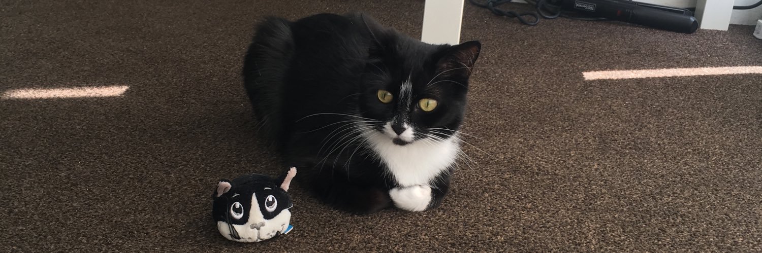 PeezeeUK's profile banner image