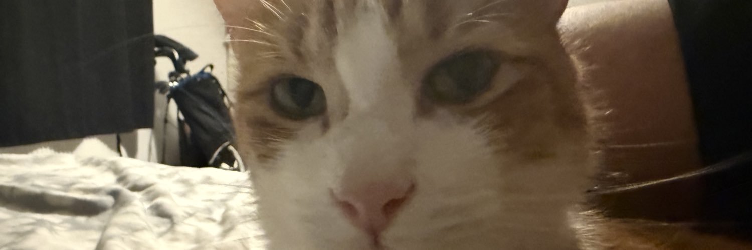 LandersGeorge's profile banner image