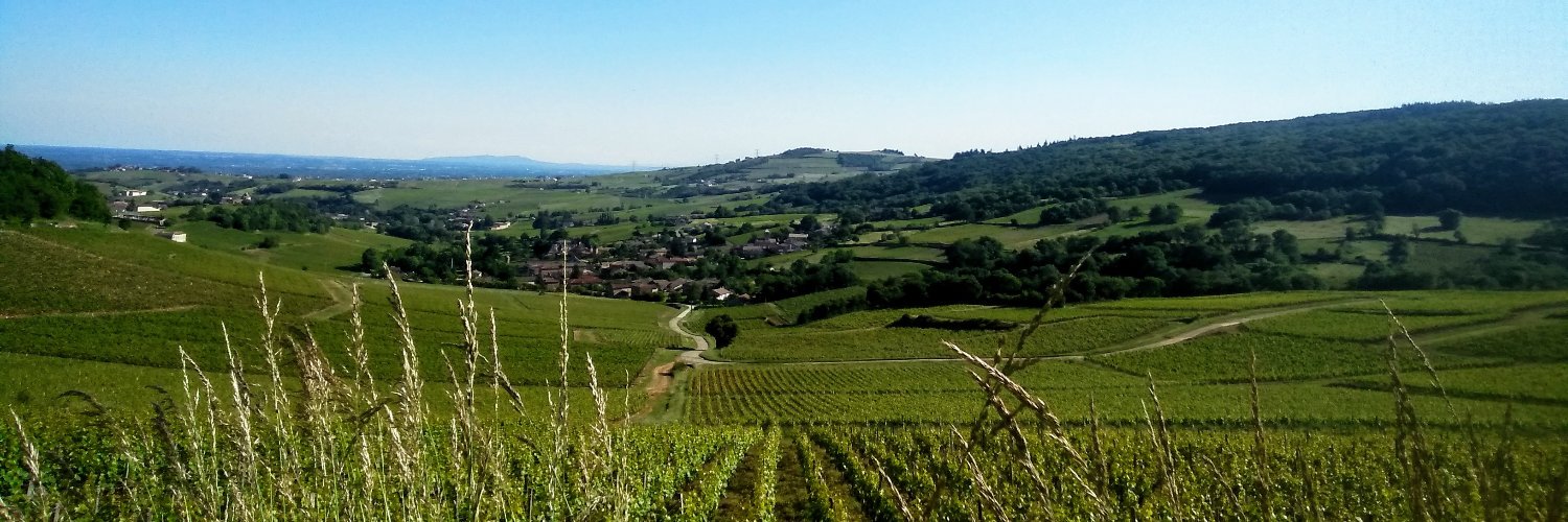 Vignerons Indépendants de Saône et Loire banner