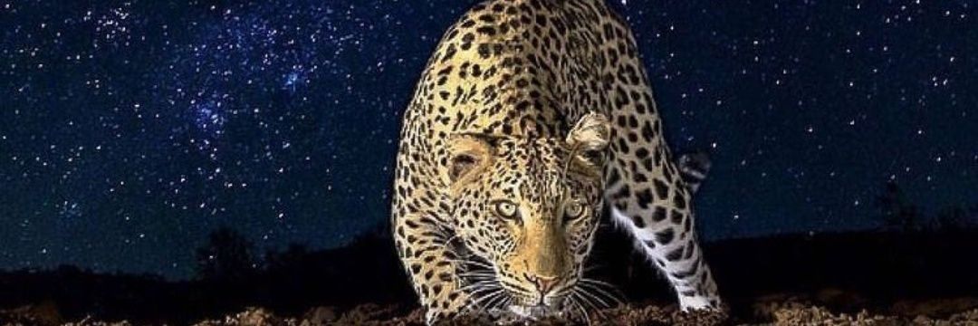 serdar_hkn's profile banner image