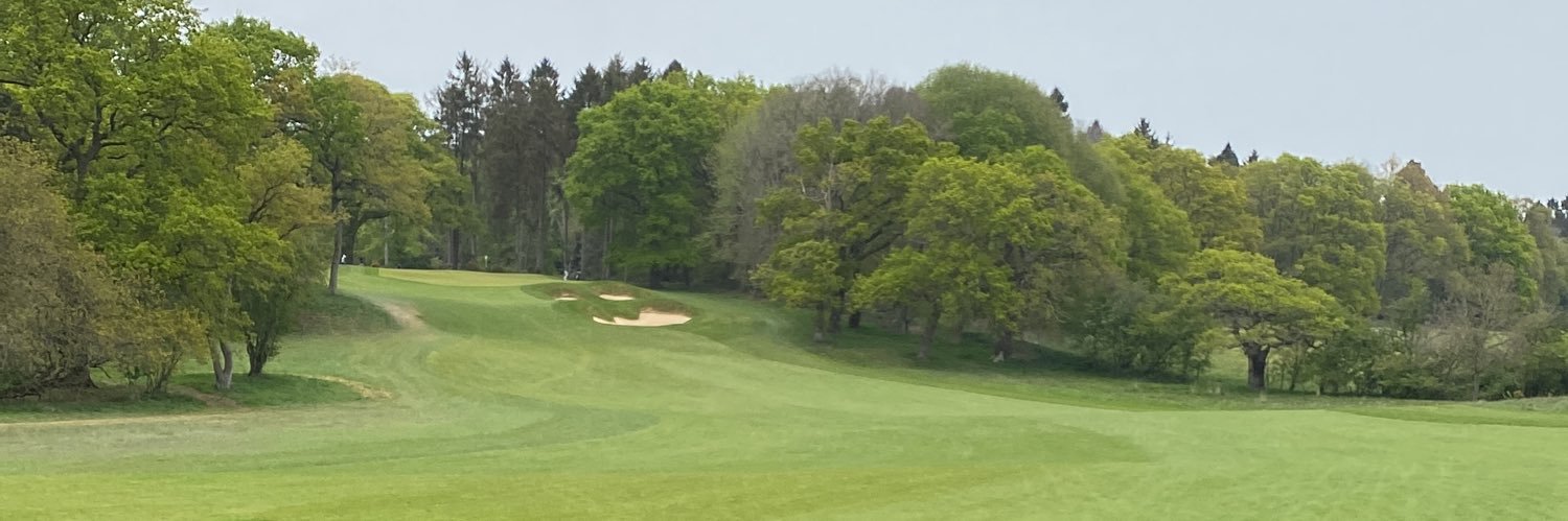 LewCalver's profile banner image