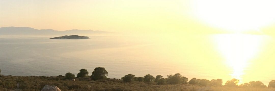 DidemSalgam's profile banner image