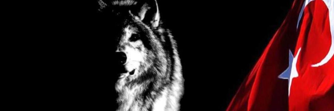 ooozanb3's profile banner image