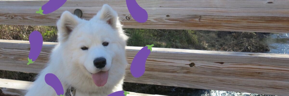 BarbarianKitten's profile banner image