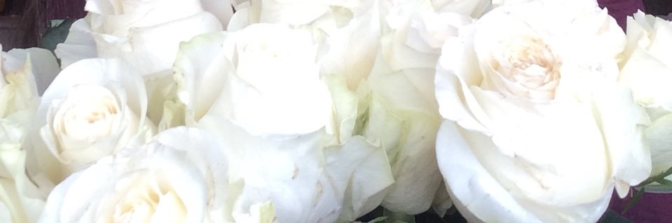 libbyvanier's profile banner image