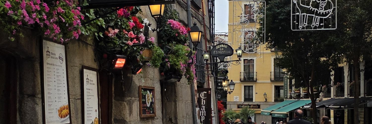 VeraDaysi's profile banner image