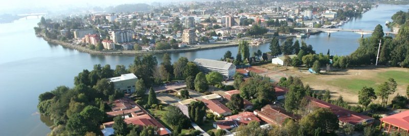 Ilona Concha-Grabinger banner