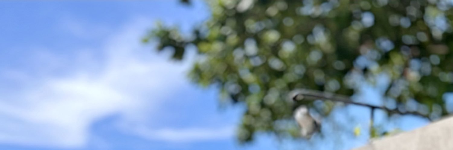 cindychryst's profile banner image
