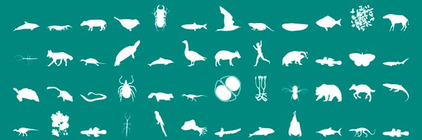 PhyloPic Profile Banner
