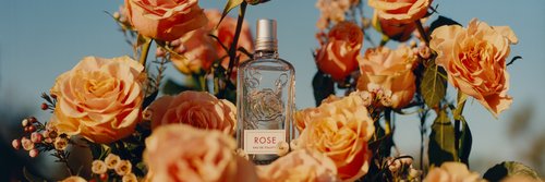 L'OCCITANE SOUTH AFRICA banner