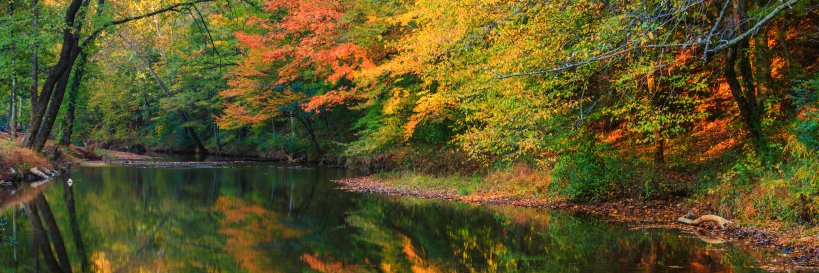 Lawrence County Chamber banner