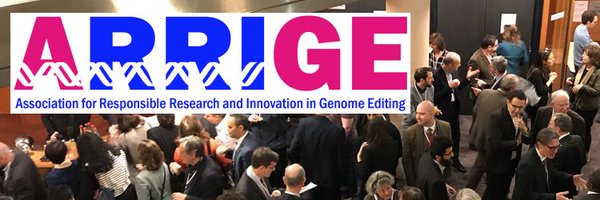 JennyMerchant Profile Banner